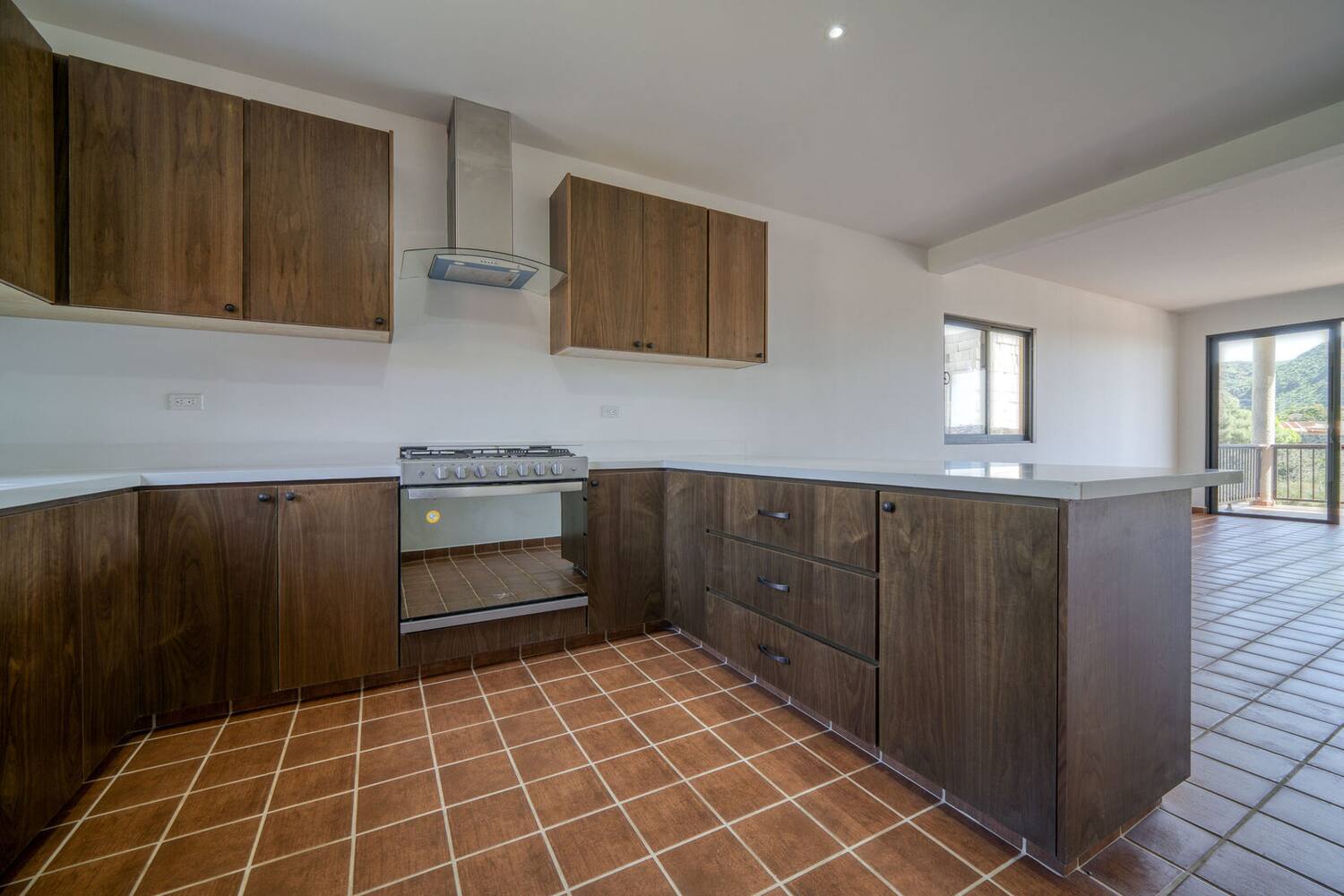 Equipped kitchen with breakfast bar, gas range and extractor hood